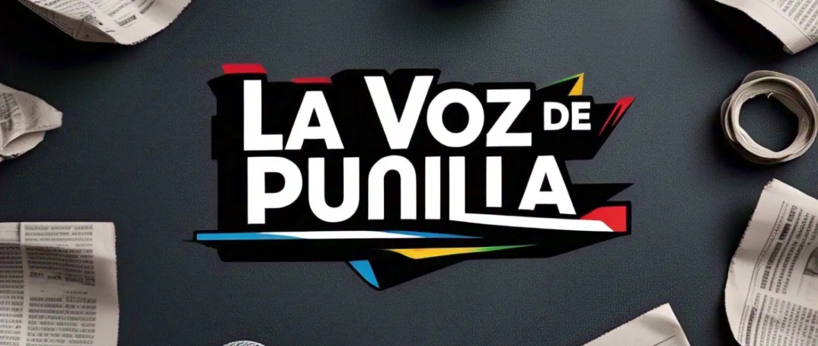 La Voz de Punilla: Nace el nuevo medio digital de la región